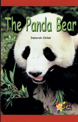 The Panda Bear by Deborah Chilek, 9780823981878