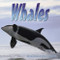 Whales - 9781404255777 by Marianne Johnston