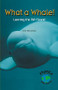 What a Whale! - 9780823982745 by Ilse Battistoni, 9780823982745