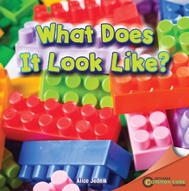 What Does It Look Like? - 9781448889747 by Alice Jednik, 9781448889747