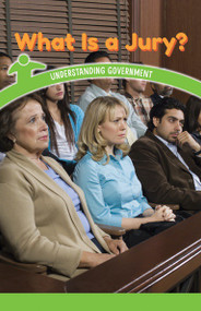 What Is a Jury? (Understanding Government) by Sonja Reyes, 9781538365366
