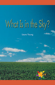 What Is in the Sky? by Laura Young, 9780823963485