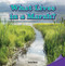 What Lives in a Marsh? by Dave Mack, 9781477725795