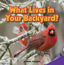 What Lives in Your Backyard? by Jefferson Davenport, 9781477726082