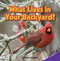 What Lives in Your Backyard? by Jefferson Davenport, 9781477726082