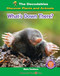 What's Down There? by Marla Tomlinson, 9781684049066