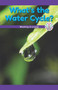 What's the Water Cycle? (Working in a Loop) - 9781538353134 by Ava Beasley, 9781538353134