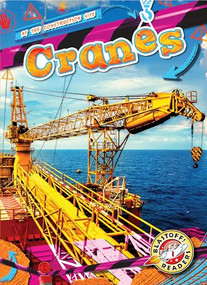 Cranes - 9798886870176 by Mari Schuh, 9798886870176