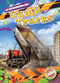Dump Trucks - 9798886870190 by Mari Schuh, 9798886870190