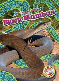 Black Mambas by Joanne Mattern, 9798886870367