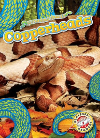 Copperheads - 9798886870374 by Suzane Nguyen, 9798886870374