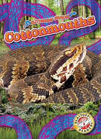 Cottonmouths - 9798886870398 by Joanne Mattern, 9798886870398