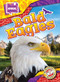 Bald Eagles - 9798886870442 by Janie Scheffer, 9798886870442