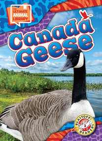 Canada Geese - 9798886870473 by Janie Scheffer, 9798886870473