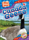 Canada Geese - 9798886870473 by Janie Scheffer, 9798886870473