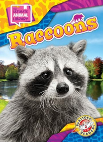 Raccoons - 9798886879728 by Janie Scheffer, 9798886879728