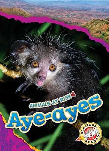 Aye-ayes by Rachel Grack, 9798886879742