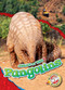 Pangolins - 9798886879759 by Rachel Grack, 9798886879759