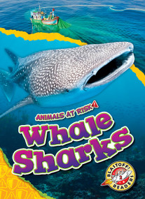 Whale Sharks - 9798886879766 by Rachel Grack, 9798886879766