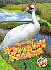 Whooping Cranes - 9798886879773 by Rachel Grack, 9798886879773