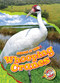 Whooping Cranes - 9798886879773 by Rachel Grack, 9798886879773