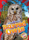 Barred Owls by Rachael Barnes, 9798886879780