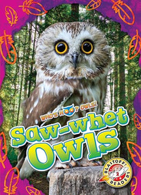 Saw-whet Owls by Rachael Barnes, 9798886879797