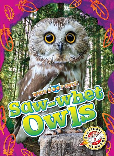 Saw-whet Owls by Rachael Barnes, 9798886879797