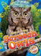 Screech Owls by Rachael Barnes, 9798886879803