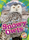 Snowy Owls - 9798886879810 by Rachael Barnes, 9798886879810