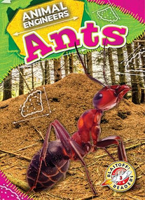 Ants - 9798886879902 by Rebecca Pettiford, 9798886879902
