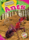 Ants - 9798886879902 by Rebecca Pettiford, 9798886879902