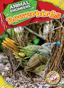 Bowerbirds by Rebecca Pettiford, 9798886879926