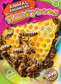 Honeybees - 9798886879933 by Rebecca Pettiford, 9798886879933