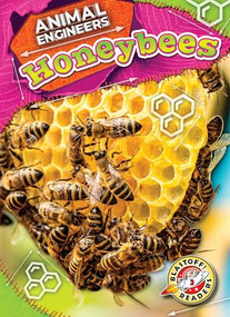 Honeybees - 9798886879933 by Rebecca Pettiford, 9798886879933