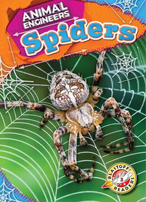 Spiders - 9798886879940 by Rebecca Pettiford, 9798886879940