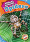 Spiders - 9798886879940 by Rebecca Pettiford, 9798886879940