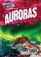 Auroras by Lisa Owings, 9798893040159