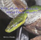 Why Do Some Animals Shed Their Skin? - 9781404255920 by Patricia J. Murphy, 9781404255920