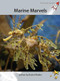 Marine Marvels by Rachel Walker, 9781927197325
