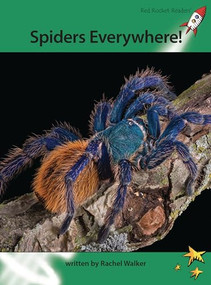 Spiders Everywhere! by Rachel Walker, 9781877506772