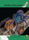 Spiders Everywhere! by Rachel Walker, 9781877506772