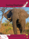 Saving Elephants by Suzette Toms, 9781927197769
