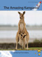 The Amazing Kangaroo by Pam Holden, 9781877506840