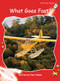 What Goes Fast? by Pam Holden, 9781877419966
