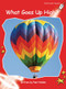 What Goes Up High? by Pam Holden, 9781877419287