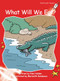 What Will We Eat? by Pam Holden, Meredith Randazzo, 9781776540075