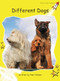 Different Dogs by Pam Holden, 9781776540587