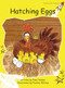 Hatching Eggs by Pam Holden, Pauline Whimp, 9781877363320