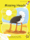 Missing Heads by Pam Holden, Lamia Aziz, 9781776540556